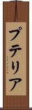 プテリア Scroll