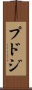 プドジ Scroll