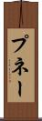 プネー Scroll