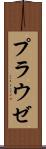 プラウゼ Scroll