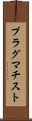 プラグマチスト Scroll
