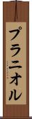 プラニオル Scroll