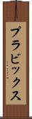 プラビックス Scroll