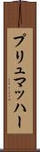 プリュマッハー Scroll