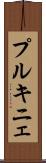 プルキニェ Scroll