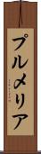 プルメリア Scroll