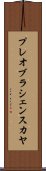 プレオブラシェンスカヤ Scroll