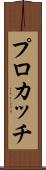 プロカッチ Scroll