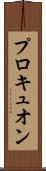 プロキュオン Scroll