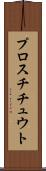 プロスチチュウト Scroll