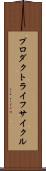 プロダクト・ライフ・サイクル Scroll