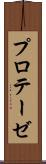 プロテーゼ Scroll