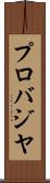 プロバジヤ Scroll