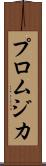 プロムジカ Scroll