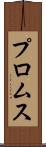 プロムス Scroll