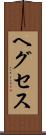 ヘグセス Scroll