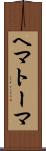 ヘマトーマ Scroll