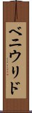 ベニウリド Scroll