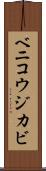 ベニコウジカビ Scroll