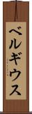 ベルギウス Scroll