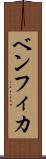 ベンフィカ Scroll