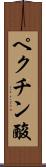 ペクチン酸 Scroll