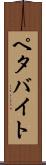 ペタバイト Scroll