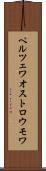 ペルツェワオストロウモワ Scroll