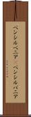 ペンシルベニア(P) Scroll