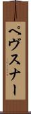 ペヴスナー Scroll