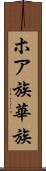 ホア族 Scroll