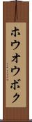 ホウオウボク Scroll