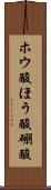 ホウ酸 Scroll