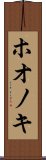 ホオノキ Scroll