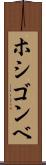 ホシゴンベ Scroll