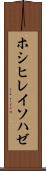 ホシヒレイソハゼ Scroll