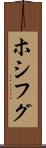 ホシフグ Scroll