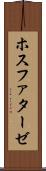 ホスファターゼ Scroll