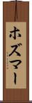 ホズマー Scroll