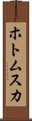 ホトムスカ Scroll