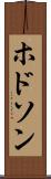 ホドソン Scroll