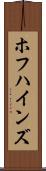 ホフハインズ Scroll