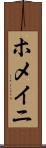 ホメイニ Scroll