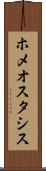 ホメオスタシス Scroll