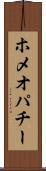 ホメオパチー Scroll