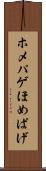 ホメパゲ Scroll
