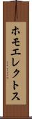 ホモエレクトス Scroll