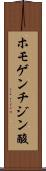 ホモゲンチジン酸 Scroll