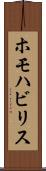 ホモハビリス Scroll