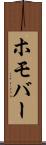 ホモバー Scroll
